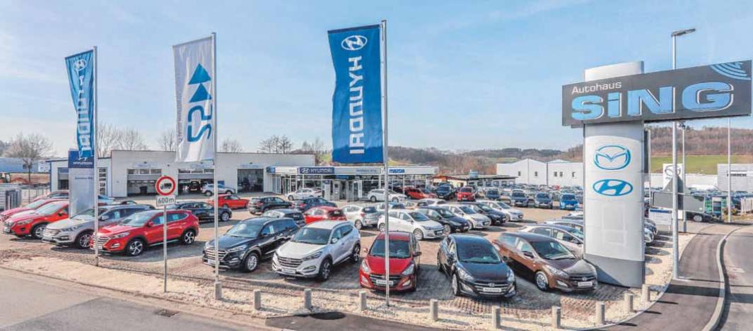 Die Hyundai- und Mazda-Experten von Autohaus Sing beraten heute von 9 bis 16 Uhr. FOTOS: PETER SCHLIPF