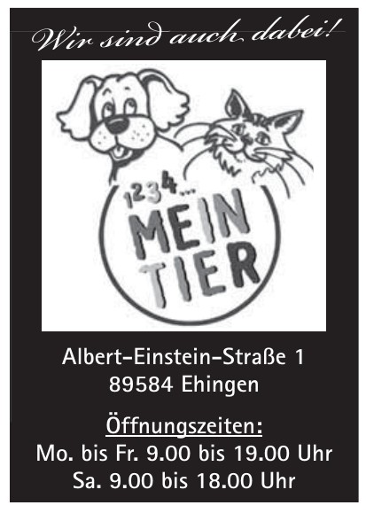 1234 Meintier